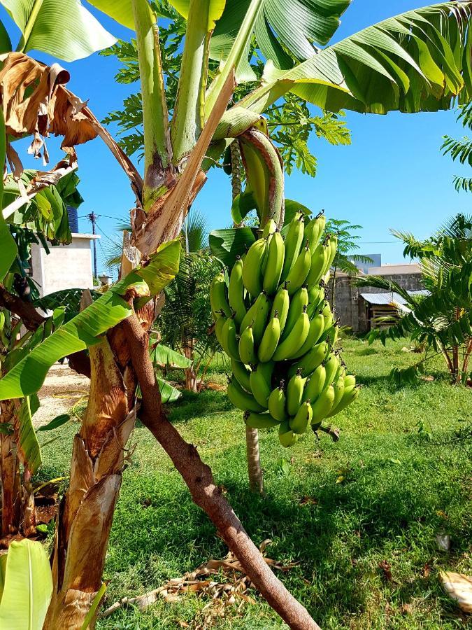 Mimi Na Wewe Villa Nungwi Bagian luar foto