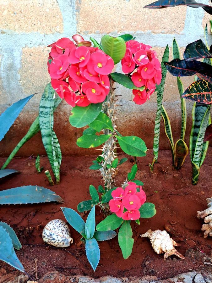 Mimi Na Wewe Villa Nungwi Bagian luar foto